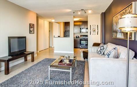 Bolero Flats -  - 1117 Marquette Avenue, Minneapolis, MN  55403 - LG - 5338375