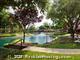 Camden Buckingham -  - 430 E Buckingham Rd, Richardson, TX  75081 - CTB - cropped - 305300