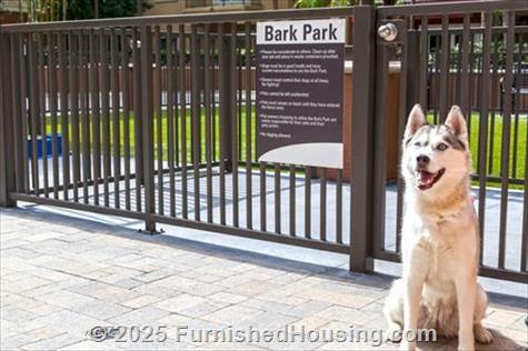 Camden Harbor View - Mid-Rise - 40 Cedar Walk, Long Beach, CA  90802 - LG - 4383669