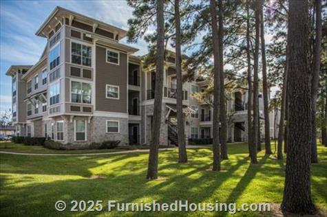 Camden Northpointe -  - 11743 Northpointe Blvd, Tomball, TX  77377 - LG - 4829966