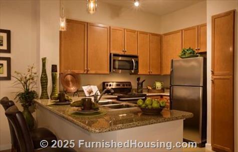 Camden Plaza -  - 3833 Cummins St, Houston, TX  77027 - LG - 295675
