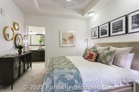 Camden Rainey Street -  - 91 Rainey Street, Austin, TX  78701 - LG - 4902222