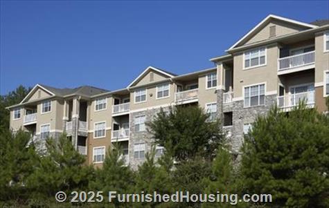 Camden Stockbridge -  - 1000 Peridot Pkwy, Stockbridge, GA  30281 - LG - 549754