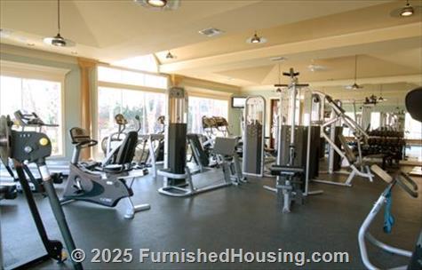 Camden Vanderbilt -  - 7171 Buffalo Speedway, Houston, TX  77025 - LG - 89457