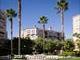 Cherry Orchard -  - 250 W El Camino Real, Sunnyvale, CA  94087 - CTB - cropped - 4899539