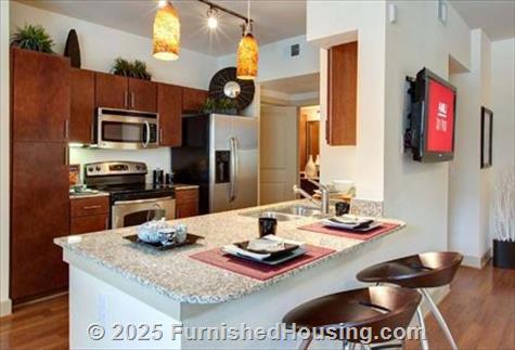 City Vista -  - 2221 W Dallas Street, Houston, TX  77019 - LG - 5177038