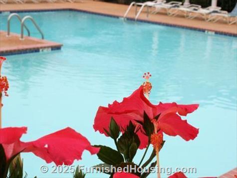 Civic Center West Apartments -  - 4740 Hwy 51 N, Southaven, MS  38671 - LG - 5706692