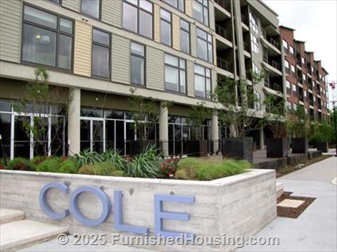 Cole -  - 300 S Lamar Blvd, Austin, TX  78704 - LG - 5310344
