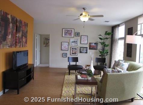 Cole -  - 300 S Lamar Blvd, Austin, TX  78704 - LG - 5310345