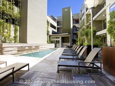 Cole -  - 300 S Lamar Blvd, Austin, TX  78704 - LG - 5310349