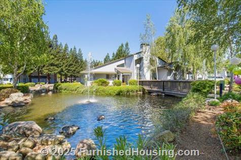 Country Brook - Low-Rise - Countrybrook Loop, San Ramon, CA  94583 - LG - 4931201