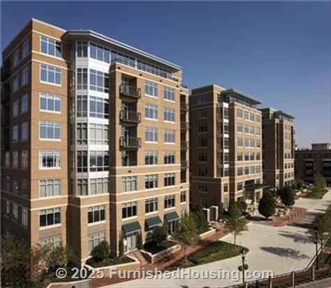 Crescent at Fells Point - Low-Rise - 951 Fell Street, Baltimore, MD  21231 - LG - 919323