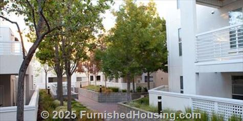 Cupertino Park Center Apartments -  - 20380 Stevens Creek Blvd, Cupertino, CA  95014 - LG - 4899599