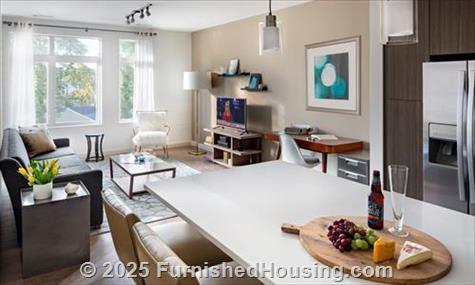 Currents on the Charles - Mid-Rise - 36 River Street, Waltham, MA  02453 - LG - 3491702