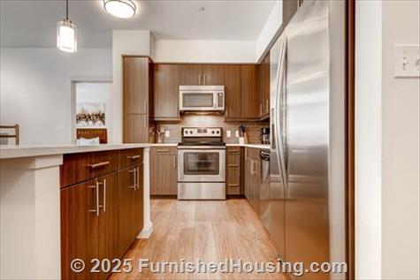 Currents on the Charles - Mid-Rise - 36 River Street, Waltham, MA  02453 - LG - 4859292