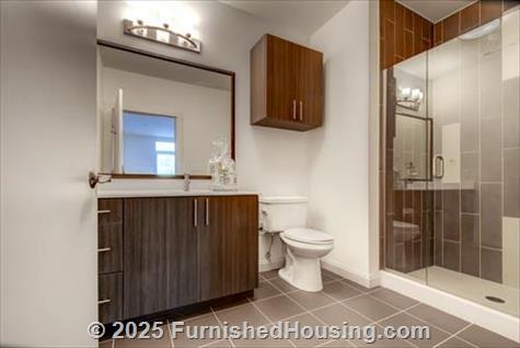 Currents on the Charles - Mid-Rise - 36 River Street, Waltham, MA  02453 - LG - 4859295