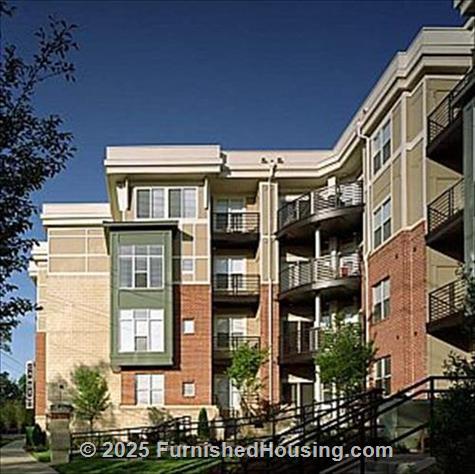 Dilworth -  - 1510 Scott Avenue, Charlotte, NC  28203 - LG - 65126
