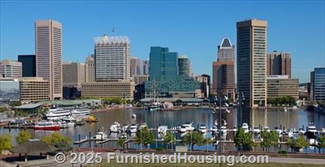 Domain Brewers Hill -  - 1200 S. Conkling Street, Baltimore, MD  21224 - LG - 4261353