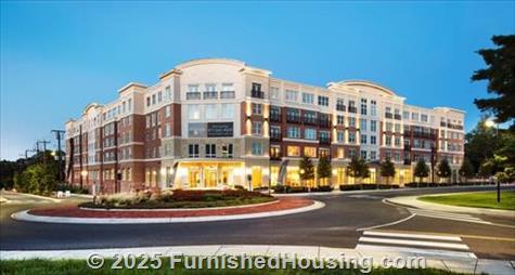 Domain College Park -  - 3711 Campus Drive, College Park, MD  20740 - LG - 4530413