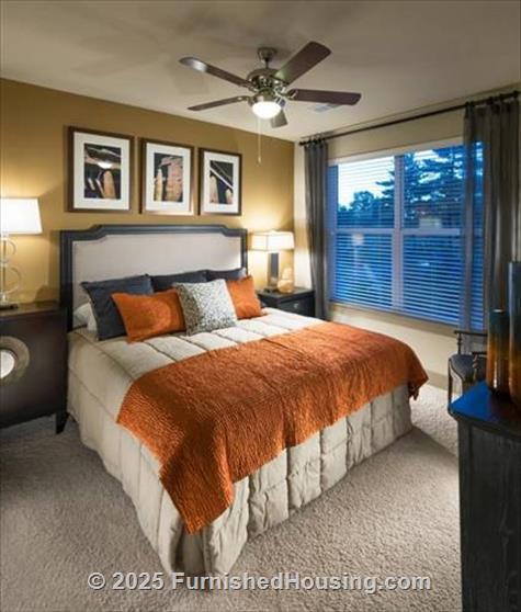 Domain College Park -  - 3711 Campus Drive, College Park, MD  20740 - LG - 4530414