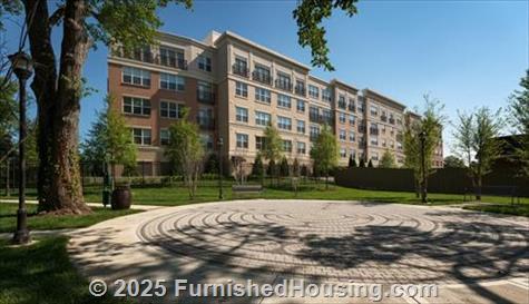 Domain College Park -  - 3711 Campus Drive, College Park, MD  20740 - LG - 4530421