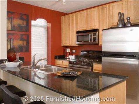 Echelon at K Station - hi-rise - 353 North DesPlaines Street, Chicago, IL  60661 - LG - 90331