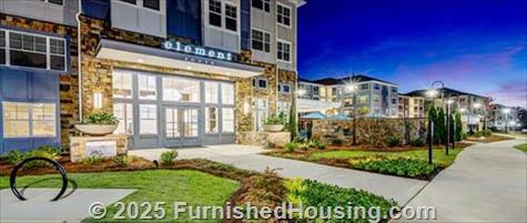 Element South -  - 15711 Clems Creek Lane, Charlotte, NC  28277 - LG - 5324786