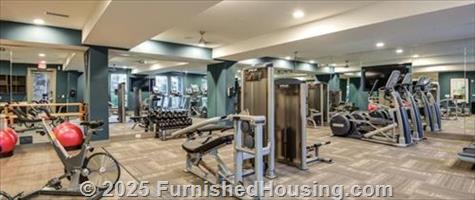Element South -  - 15711 Clems Creek Lane, Charlotte, NC  28277 - LG - 5324791