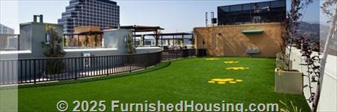 Eleve Lofts and Skydeck Apartments - Mid-Rise - 200 East Broadway, Glendale, CA  91205 - LG - 7255018