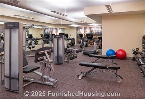 Elmhurst 255 -  - 255 N Addison, Elmhurst, IL  60126 - LG - 4812608