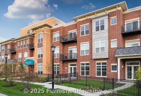 Elmhurst 255 -  - 255 N. Addison Ave, Elmhurst, IL  60126 - LG - 4867635