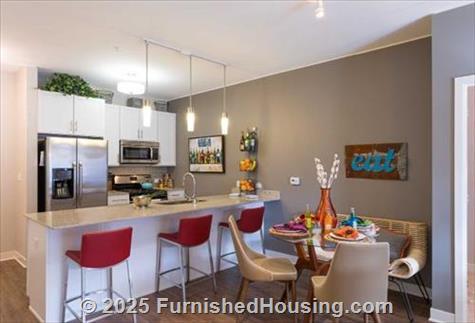 Elmhurst 255 -  - 255 N. Addison Ave, Elmhurst, IL  60126 - LG - 4867638
