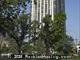Eugenie Terrace on the Park - Hi-Rise - 1730 N Clark, Chicago, IL  60614 - CTB - cropped - 185146