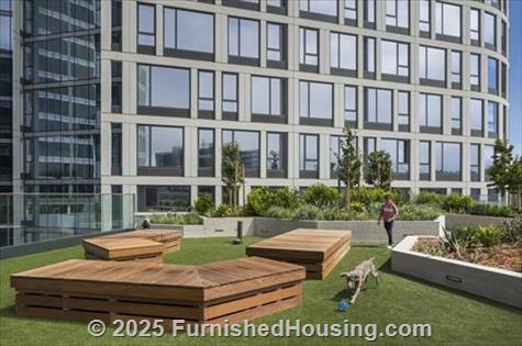 Fifteen Fifty -  - 1550 Mission  St, San Francisco, CA  94103 - LG - 8502875