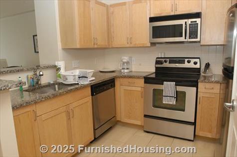 Fisher Building City Apartment - Hi-Rise - 343 South Dearborn, Chicago, IL  60604 - LG - 60477