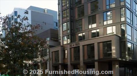 Fox and Finch -  - 525 Boren Ave N, Seattle, WA  98109 - LG - 5290564
