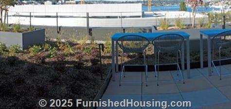 Fox and Finch -  - 525 Boren Ave N, Seattle, WA  98109 - LG - 5290567