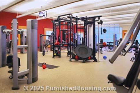 HILTON CHICAGO -  - 720 South Michigan Avenue, Chicago, IL  60605 - LG - 4433269