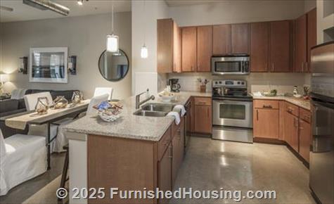IMT Lakeshore Lofts -  - 800 Lake Carolyn PKMWY, Irving, TX  75039 - LG - 4818412