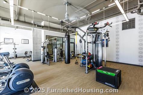 Illuminate -  - 290 East Roosevelt Street, Phoenix, AZ  85004 - LG - 5036558