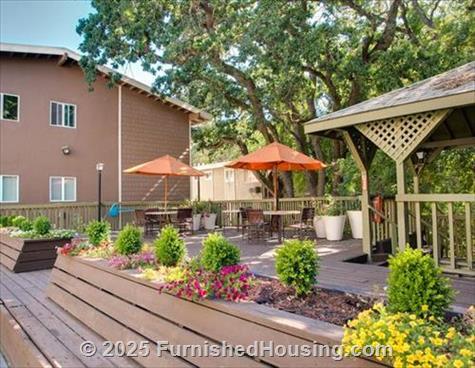 Lafayette Oaks -  - 949 East Street, Lafayette, CA  94549 - LG - 4884172