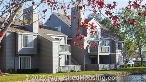 Lantern Cove -  - Rock Harbor Lane, foster city, CA  94044 - LG - 4939909