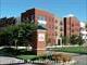 Lenox Village Town Center -  - 6900 Lenox Village Drive, Nashville, TN  37211 - CTB - cropped - 428037