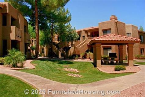 Little Cottonwoods -  - 1820 E. Bell de Mar, Tempe, AZ  85283 - LG - 335557