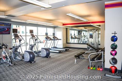 Lofts at Lincoln Station -  - 9375 Station St., Lone Tree, CO  80124 - LG - 4931237