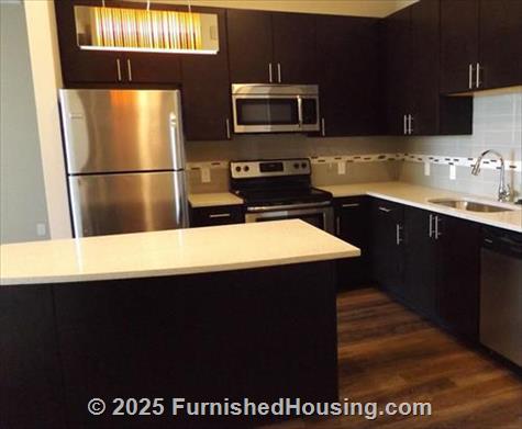 Lofts at Lincoln Station -  - 9375 Station St., Lone Tree, CO  80124 - LG - 4931239