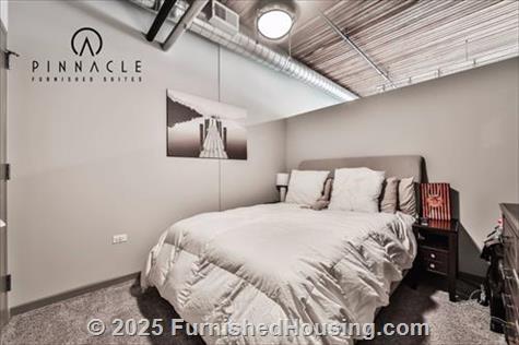 Lofts at River East -  - 445 E Illinois Street, Chicago, IL  60611 - LG - 5097341