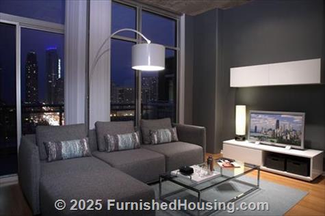 Lofts at Roosevelt Collection -  - 150 W. Roosevelt Road, Chicago, IL  60605 - LG - 89413
