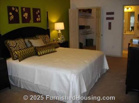 Lookout Hollow Apartments -  - 16505 Lookout Hollow Circle, Selma, TX  78154 - LG - 352525