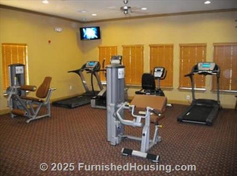 Lookout Hollow Apartments -  - 16505 Lookout Hollow Circle, Selma, TX  78154 - LG - 352528